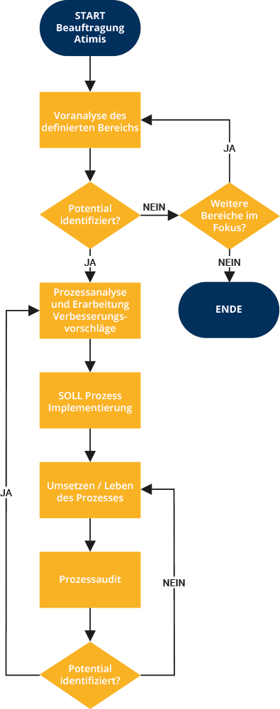 Atimis Consulting — Prozessablauf in vier Phasen